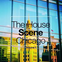 The House Scene: Chicago, Vol. 1 (A DJ House Selection)