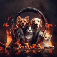 Fires Harmony: Pets Relaxation Tunes