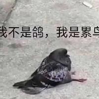 慕颖星语