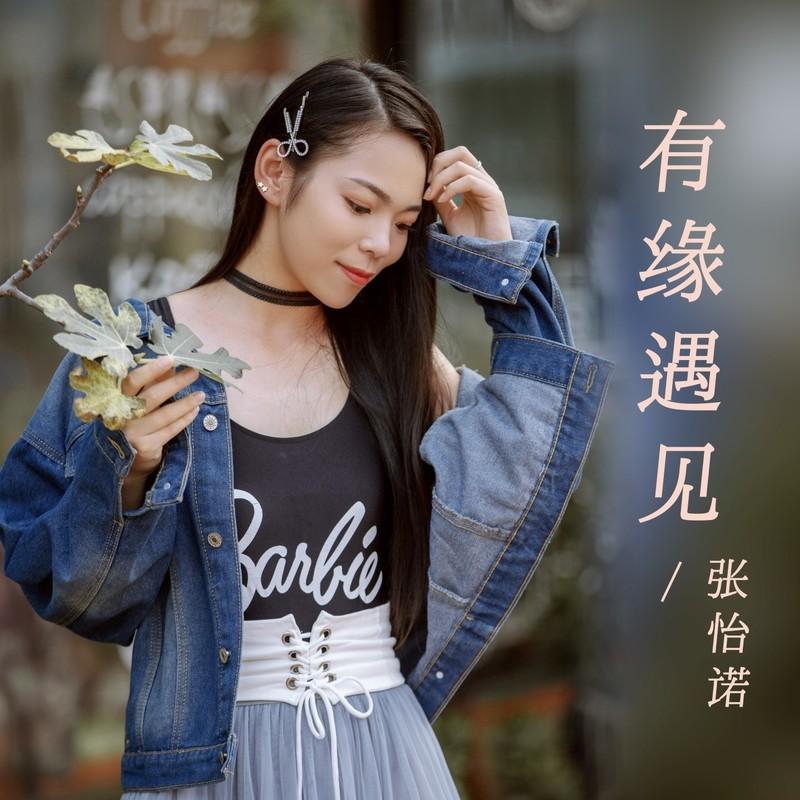 有缘遇见 (DJ沈念版伴奏)封面