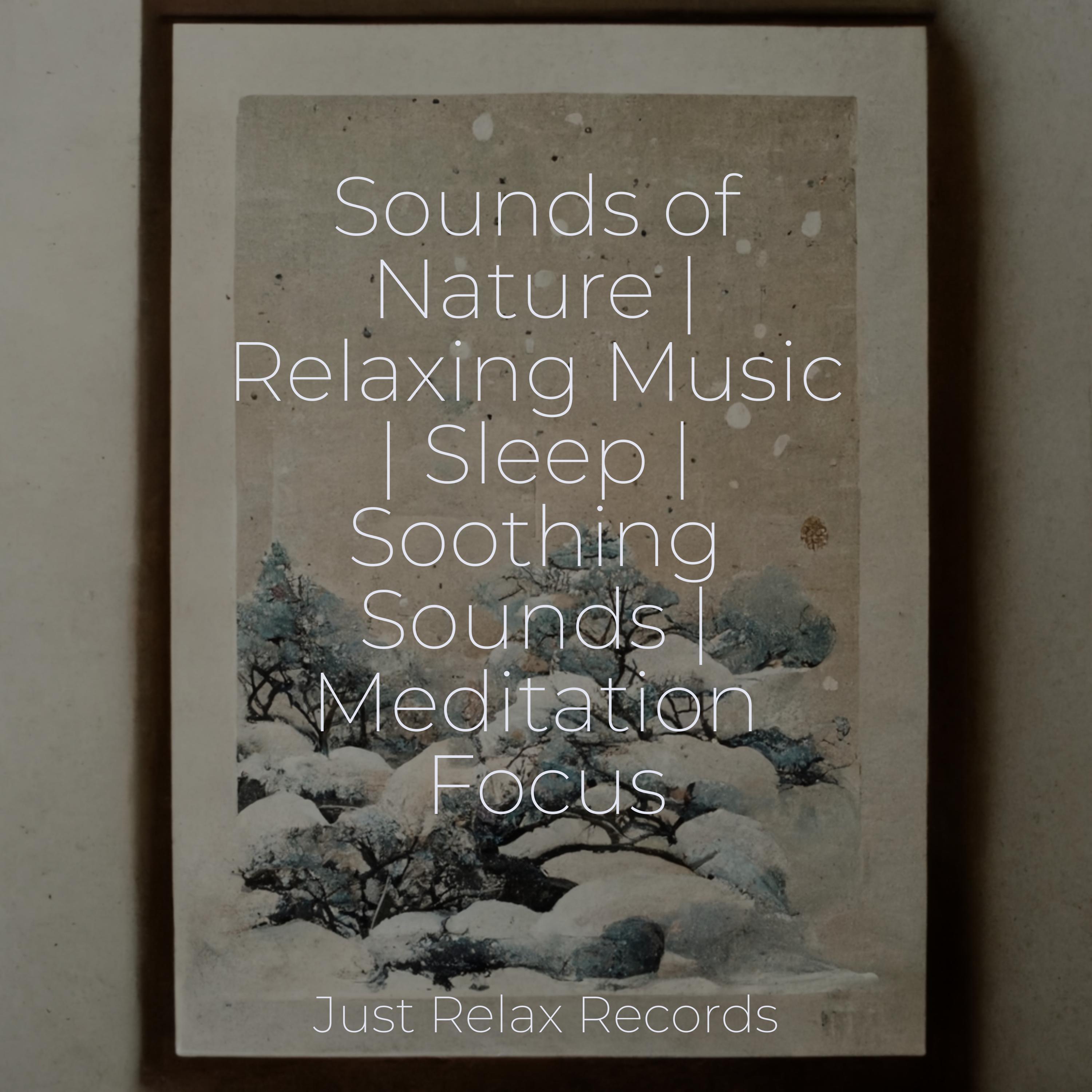 Sounds of Nature | Relaxing Music | Sleep | Soothing Sounds ...