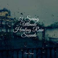 25 Spring Ultimate Healing Rain Sounds