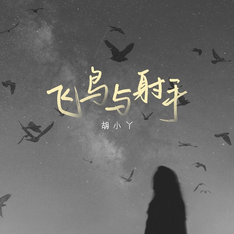 飞鸟与射手 (DJ九零版伴奏)封面
