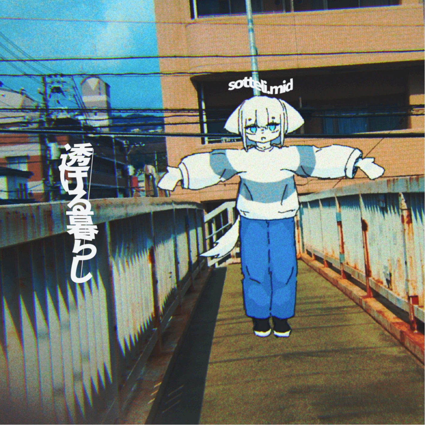 透ける暮らし封面