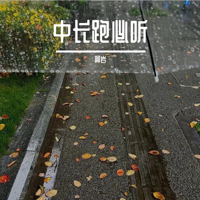 我心疼你的过去封面