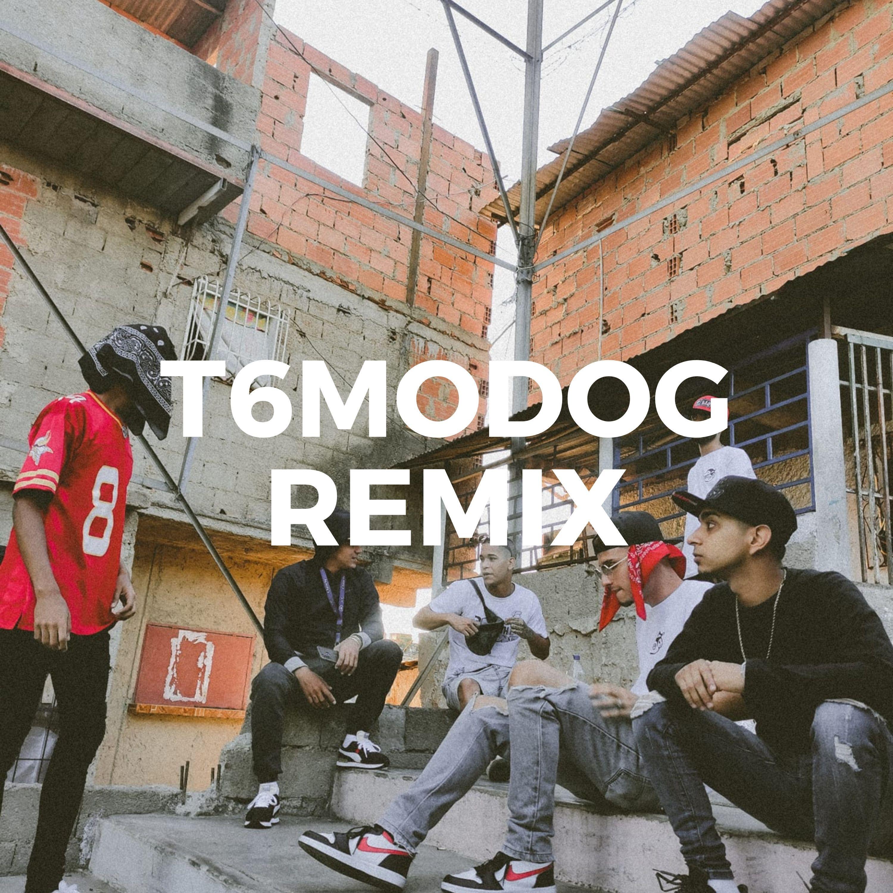 T6Modog (Remix)