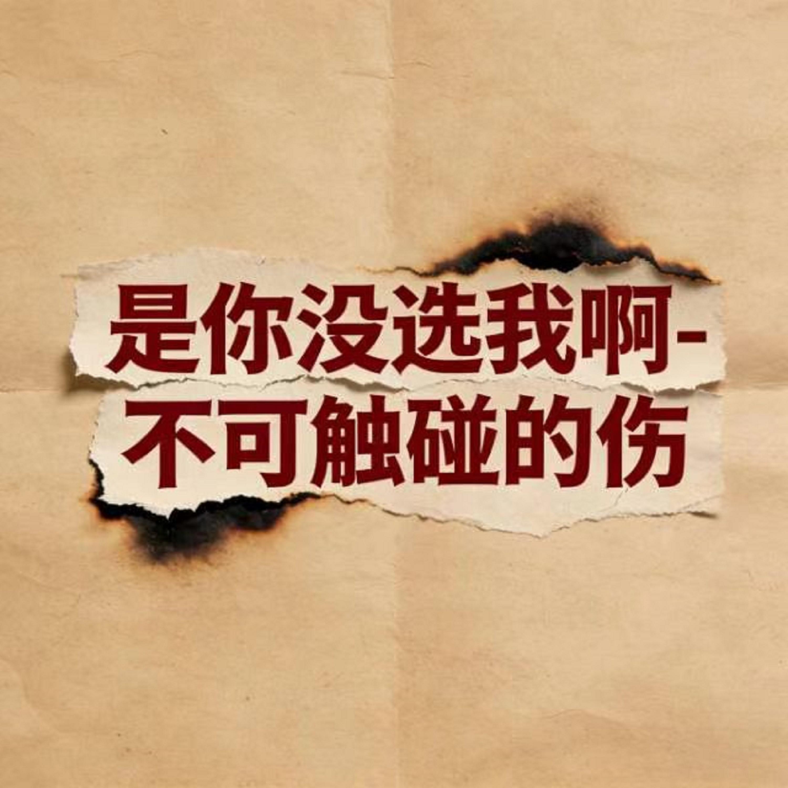 是你没选我啊 (烟嗓版)封面