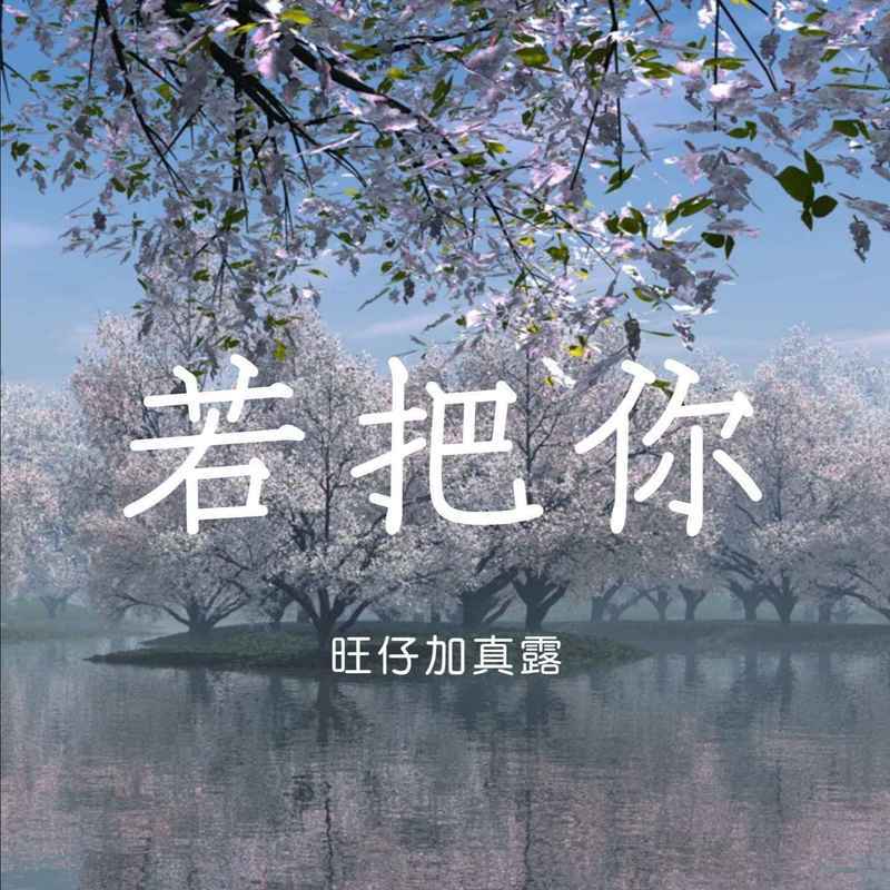 若把你 (DJ版) - 旺仔加真露封面