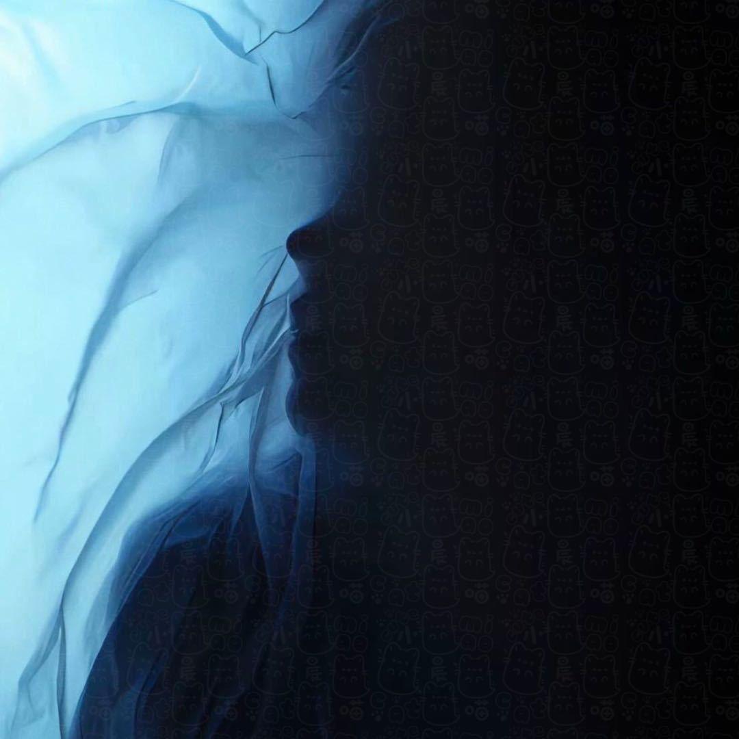 想你时风起（呆呆破）