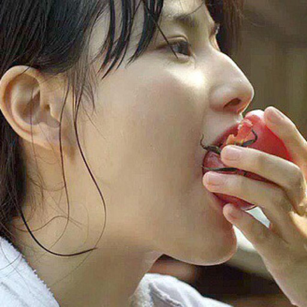 little forest | 小森林