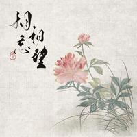 相忘相望 | 博君一肖