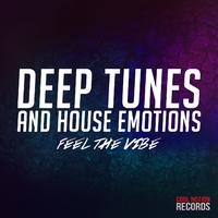 Deep Tunes and House Emotions (Feel the Vibe)