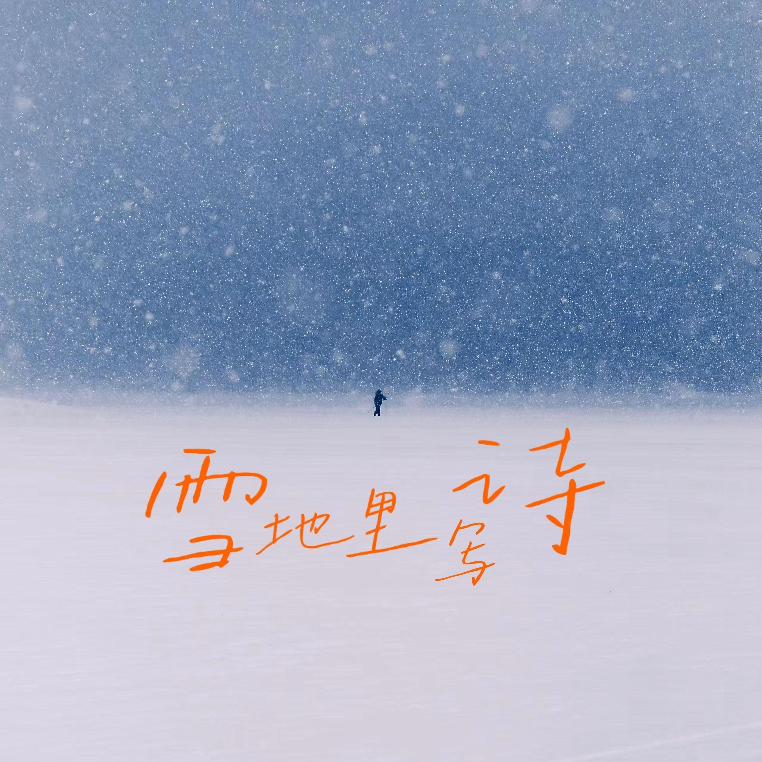 雪地里写诗 - 张大雪封面
