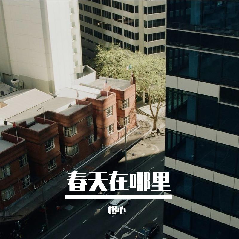 绵绵细雨封面