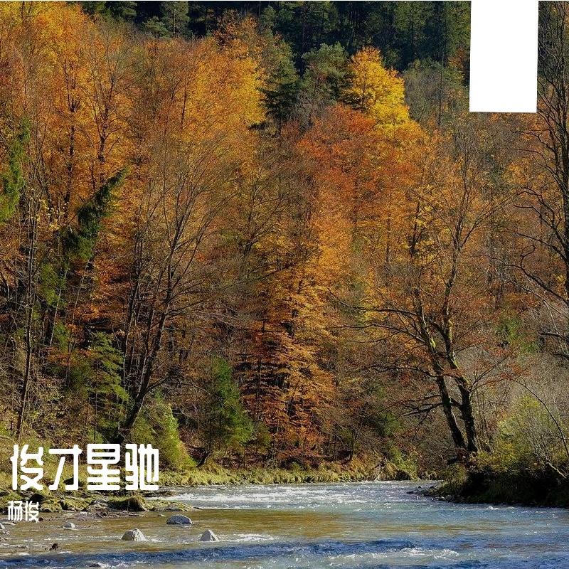 初秋封面