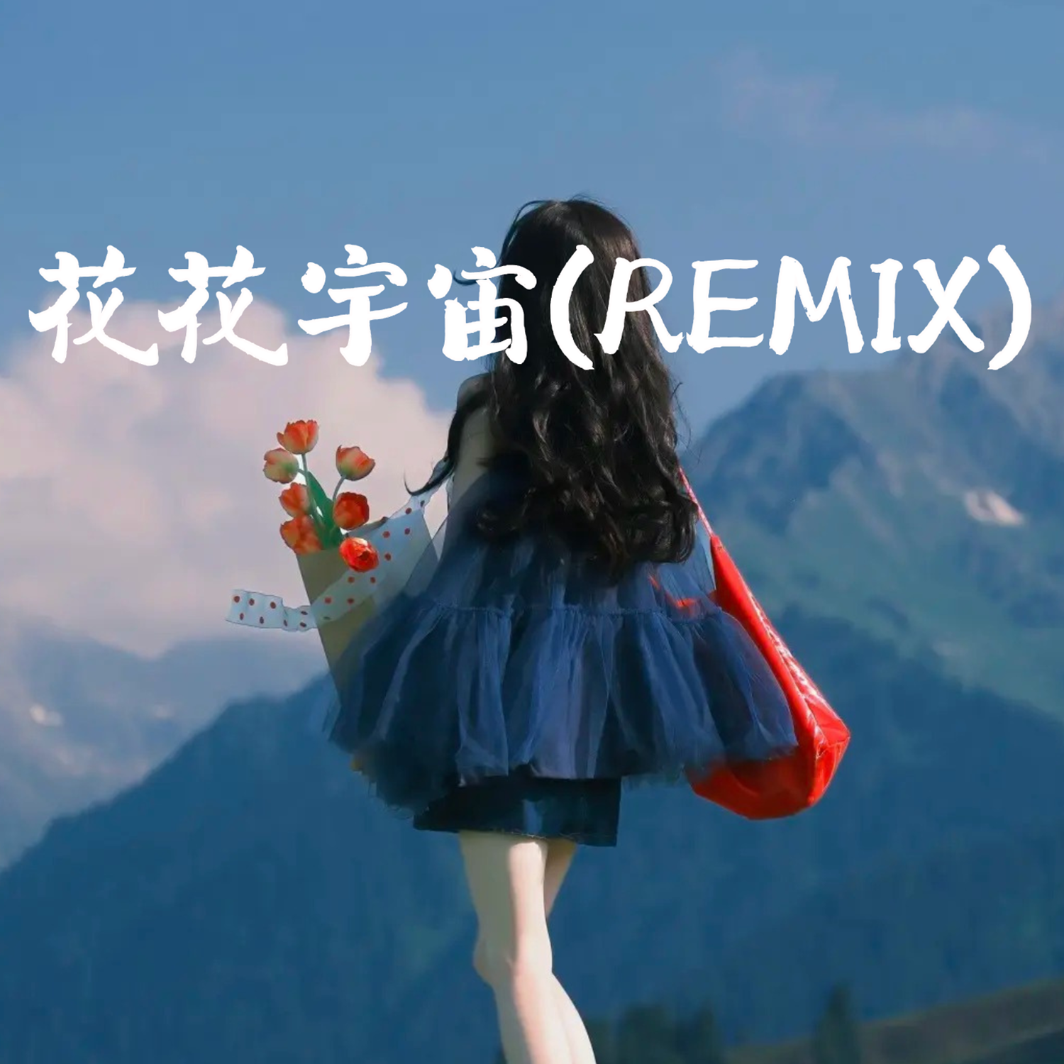 花花宇宙(Remix)封面