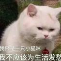 英格类需