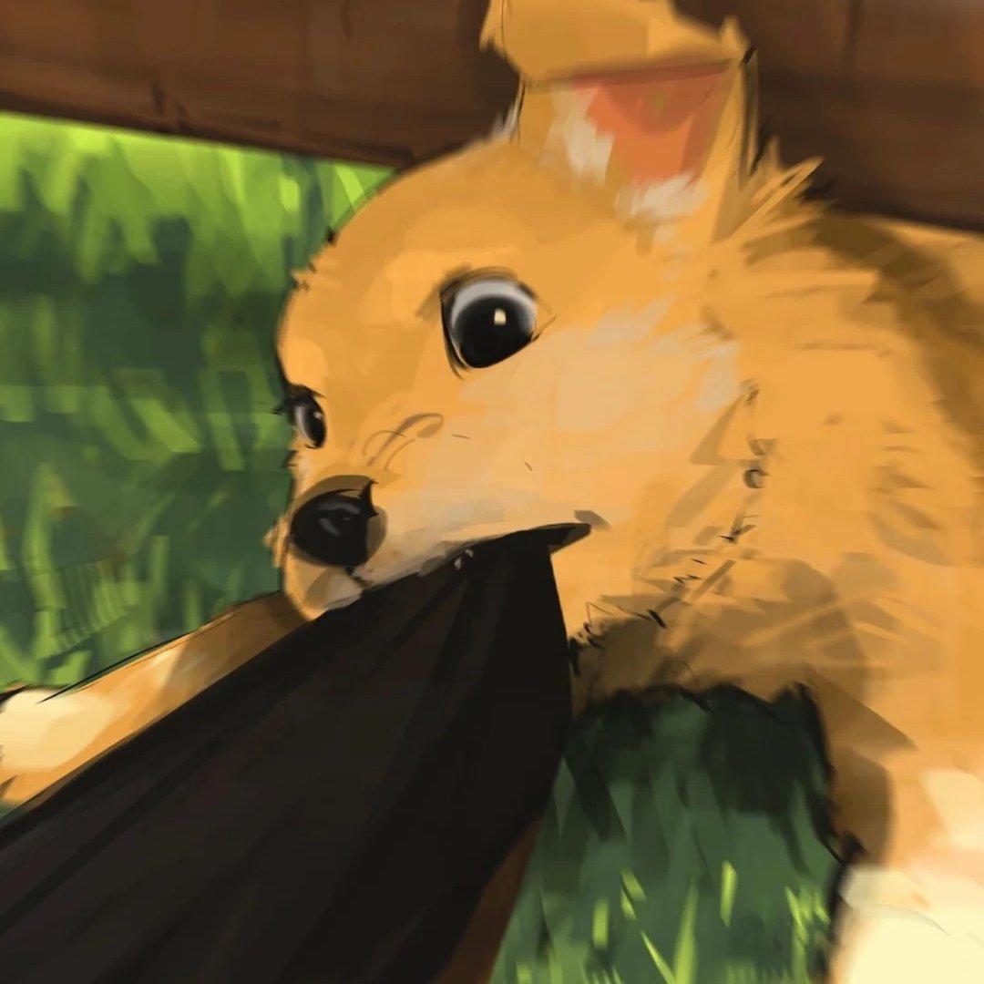 快乐小狗|（ 放松 ）r&b/pop/流行/浪漫 