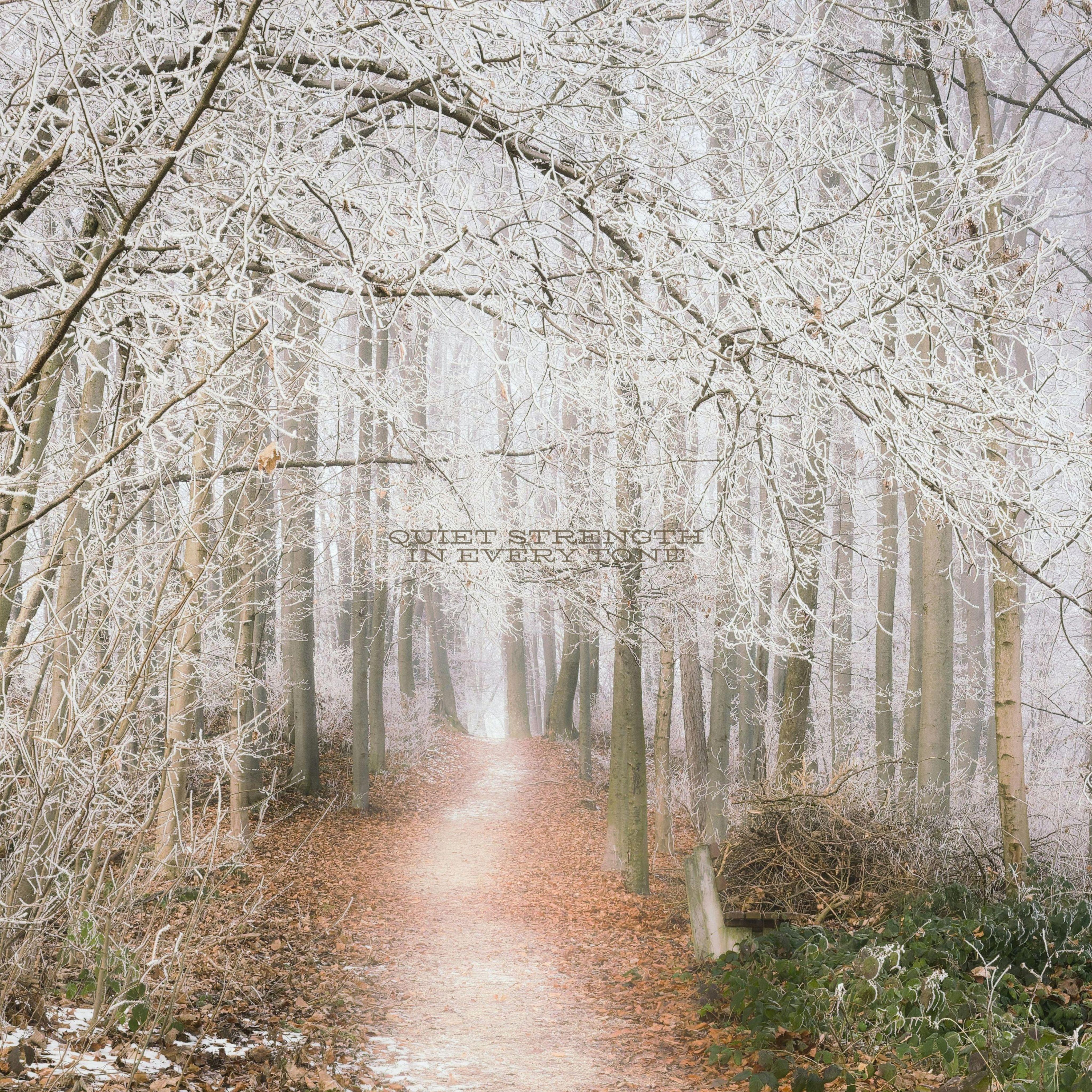 The Spine Finding Balance in Sound