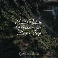 Soul Nature Melodies for Deep Sleep For Dogs