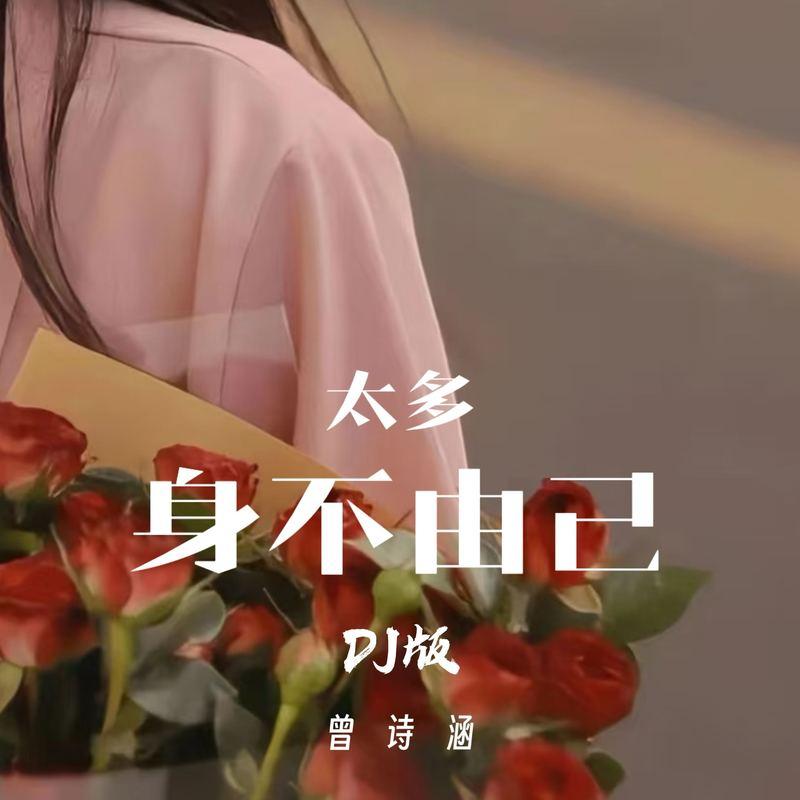 太多身不由己 (DJ版)封面