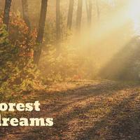 Forest Dreams