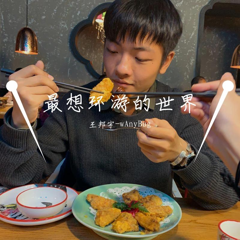 最想环游的世界封面