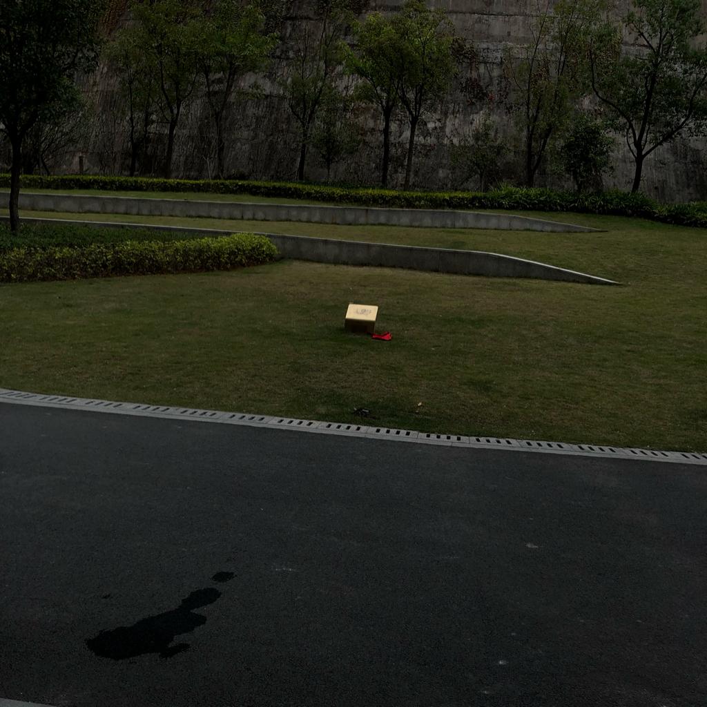 哦悲伤的人是否不再疯狂