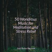 50 Wondrous Music for Meditation and Stress Relief