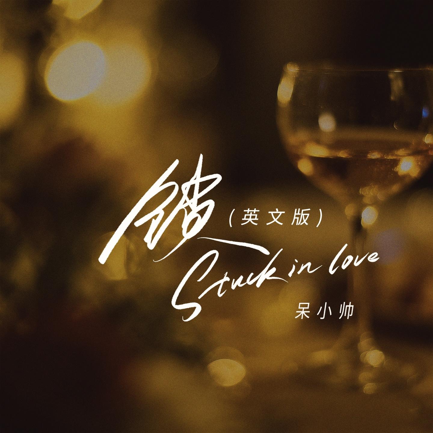 锁(英文版)(Stuck in love)