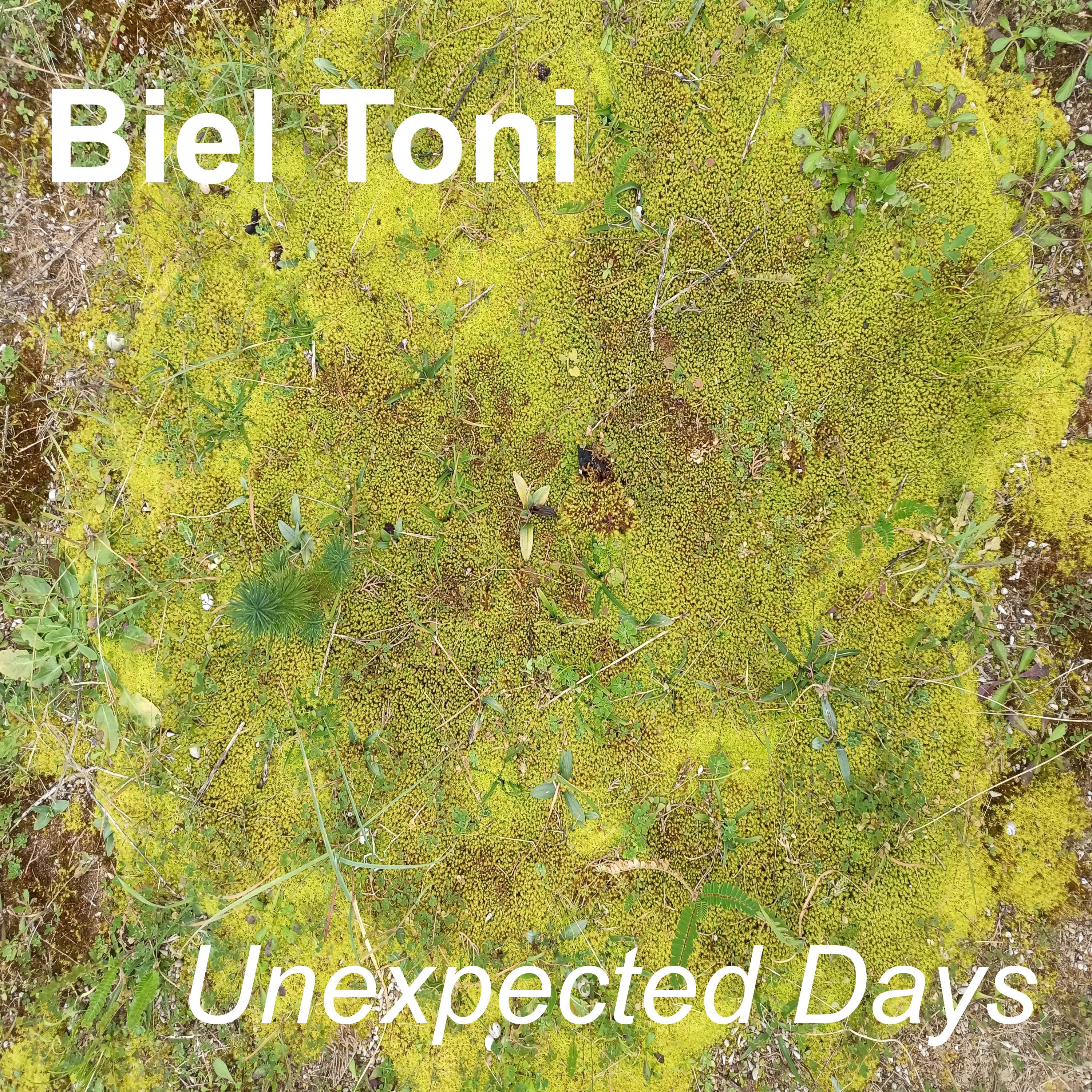 生成外链播放器点击打开客户端unexpected days歌手：biel toni所属专辑：unex