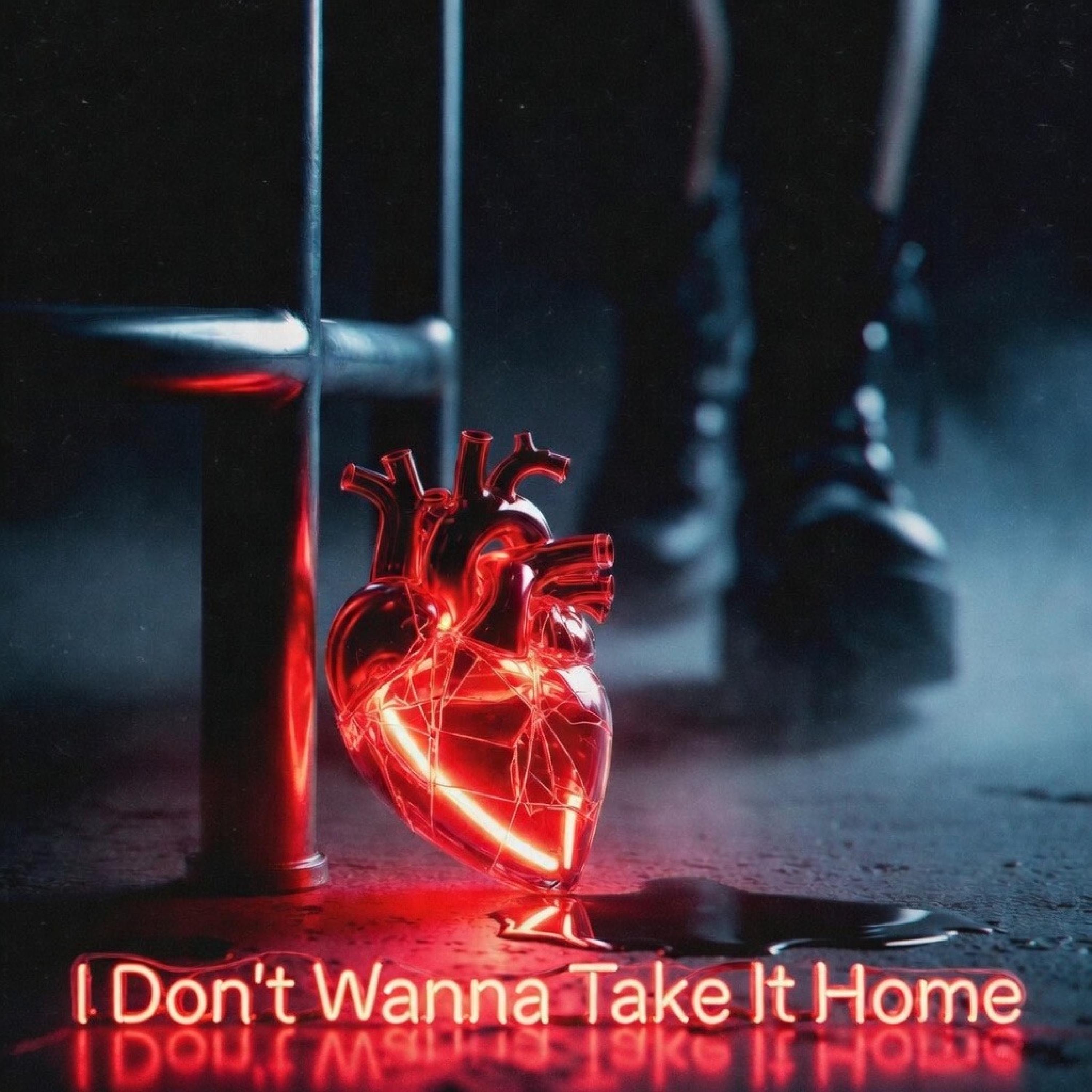 I don't wanna take it home (feat. Colt James Murphy)