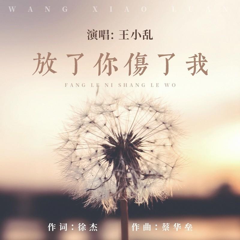 放了你 伤了我封面