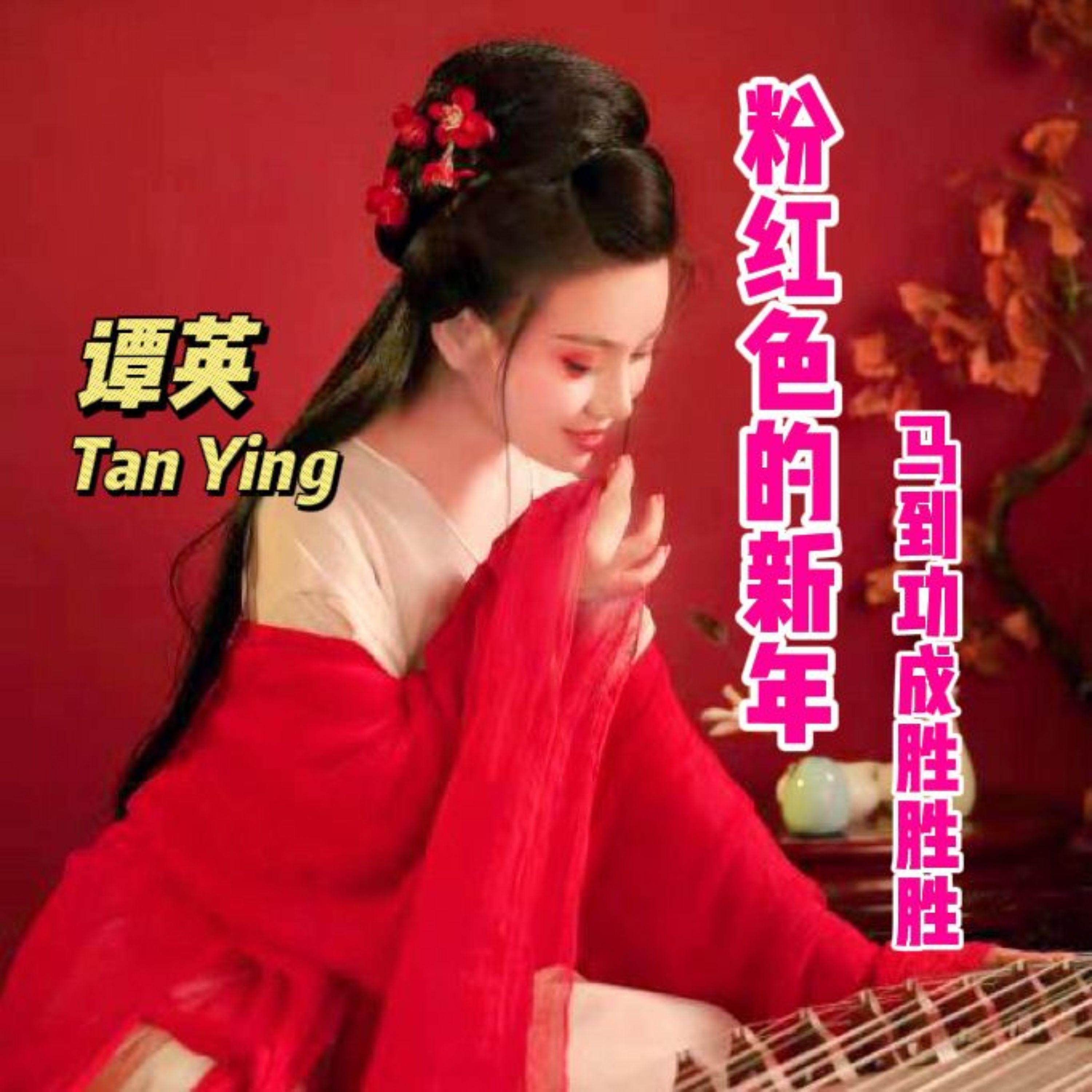 粉红色的新年 - 谭英封面