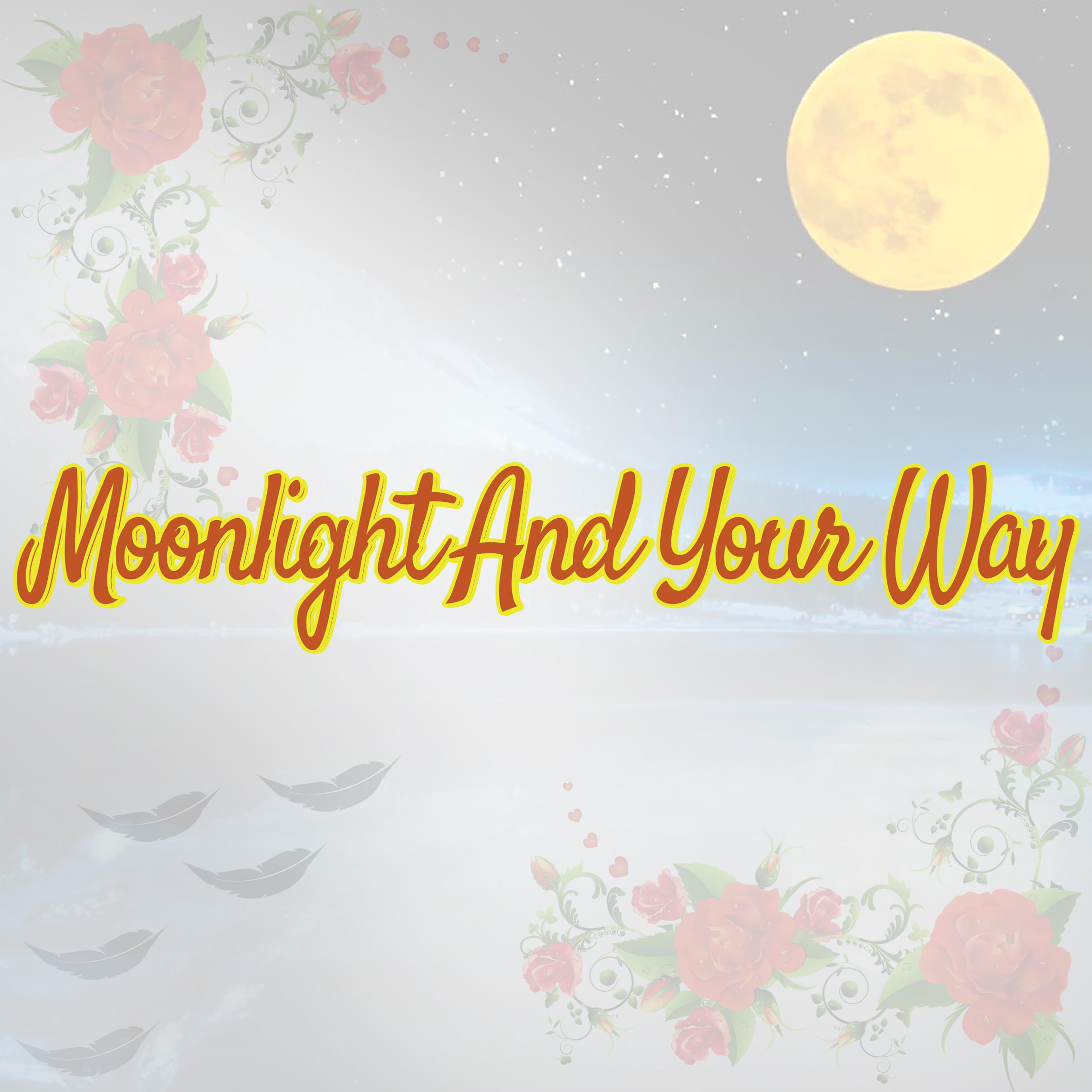 Moonlight and a New Journey