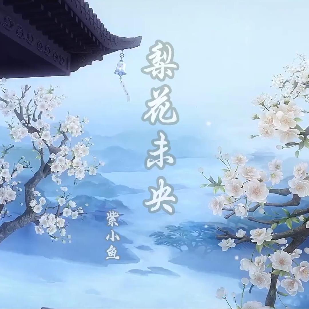 梨花未央封面