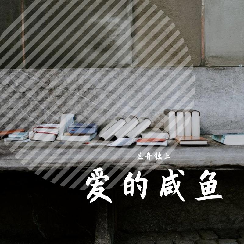 保质期 伴奏封面