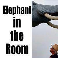 Elephant In The Room