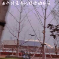 每个清晨都记得你的影子