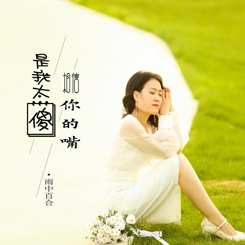 是我太傻相信你的嘴封面