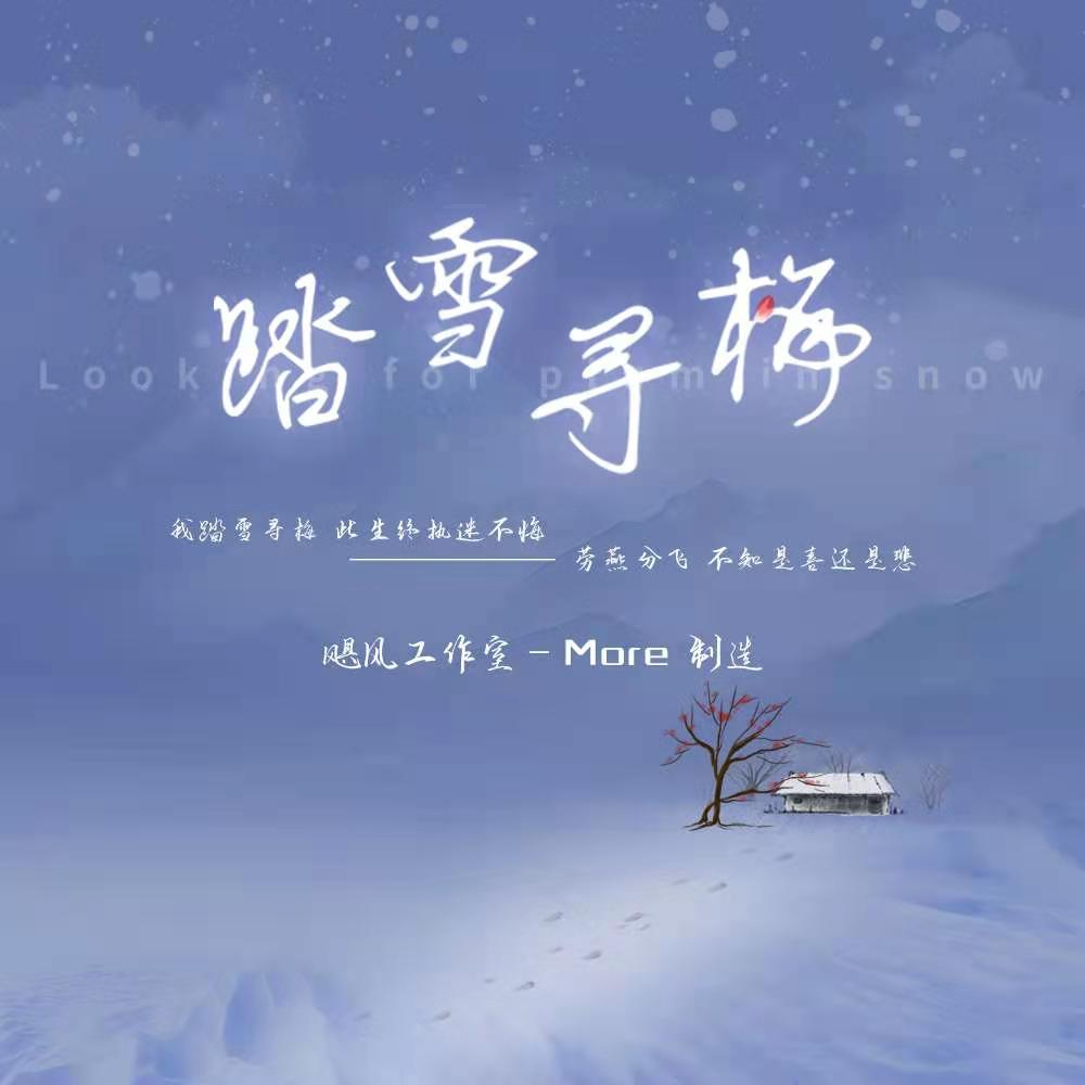 踏雪寻梅封面