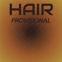 Hair Provisional