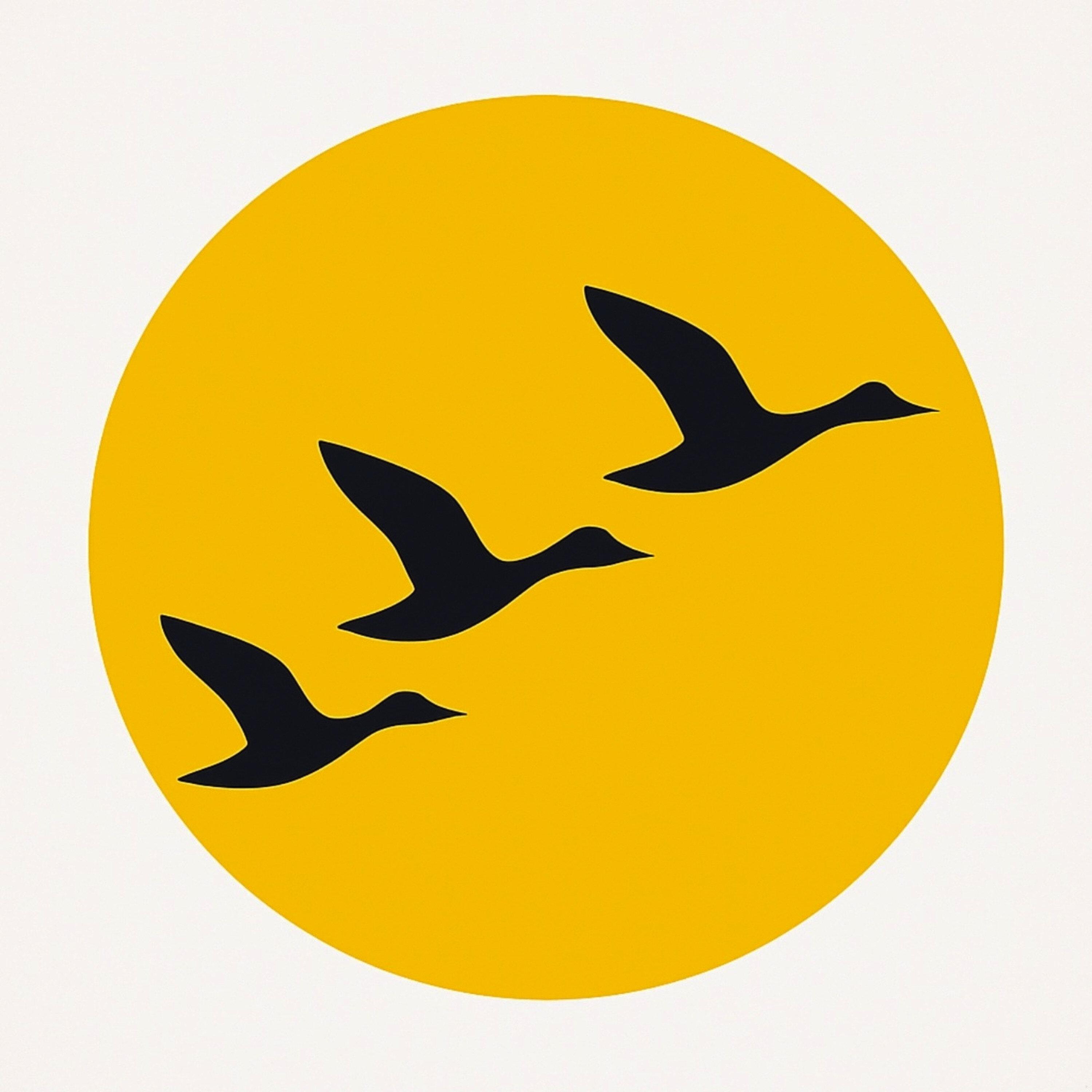 The Dream by John Donne