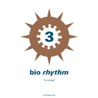 bio-rhythm 3...re-indulge