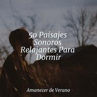 50 Paisajes Sonoros Relajantes Para Dormir