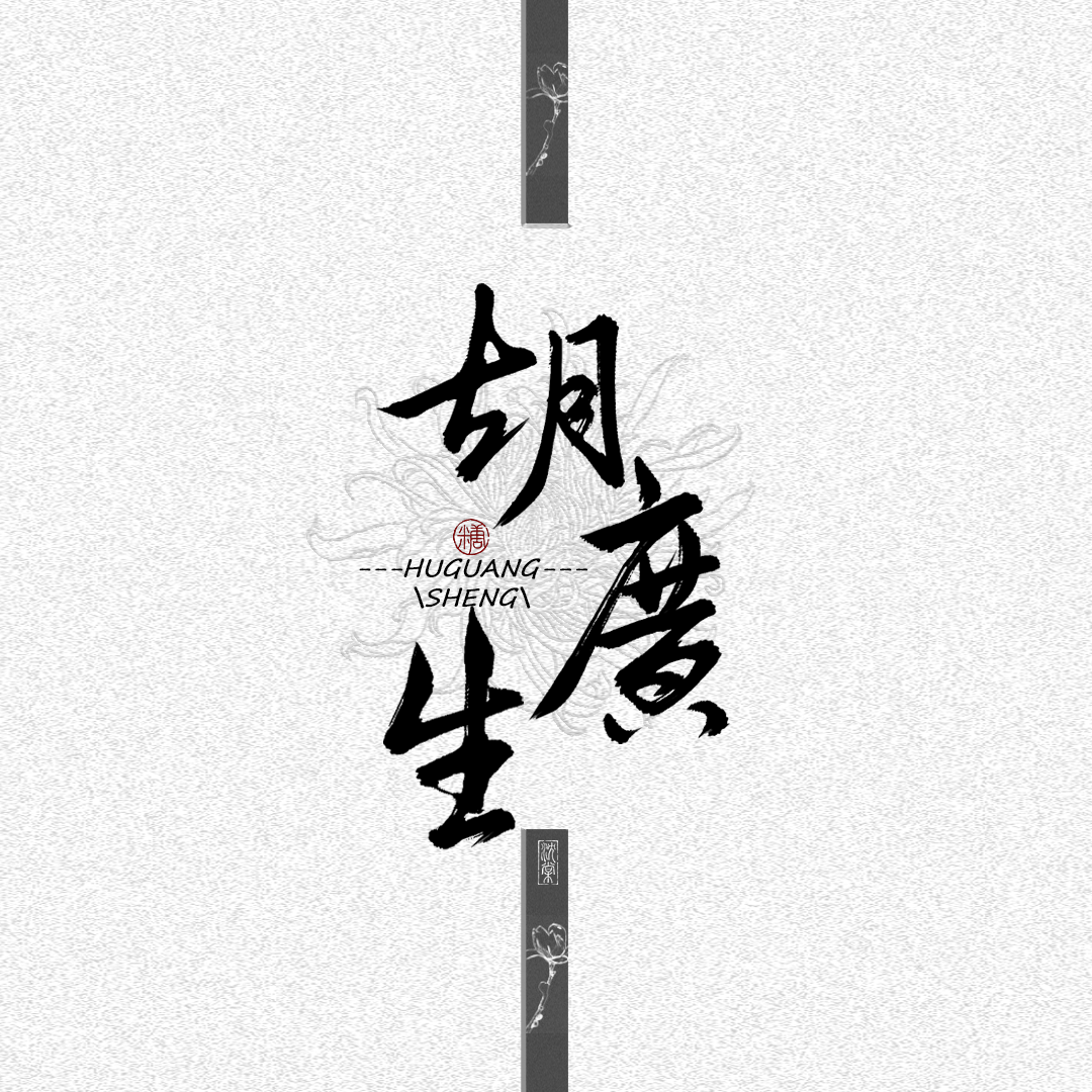胡广生（男版）封面