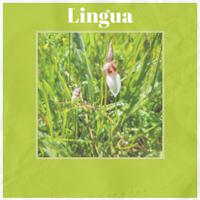 Lingua