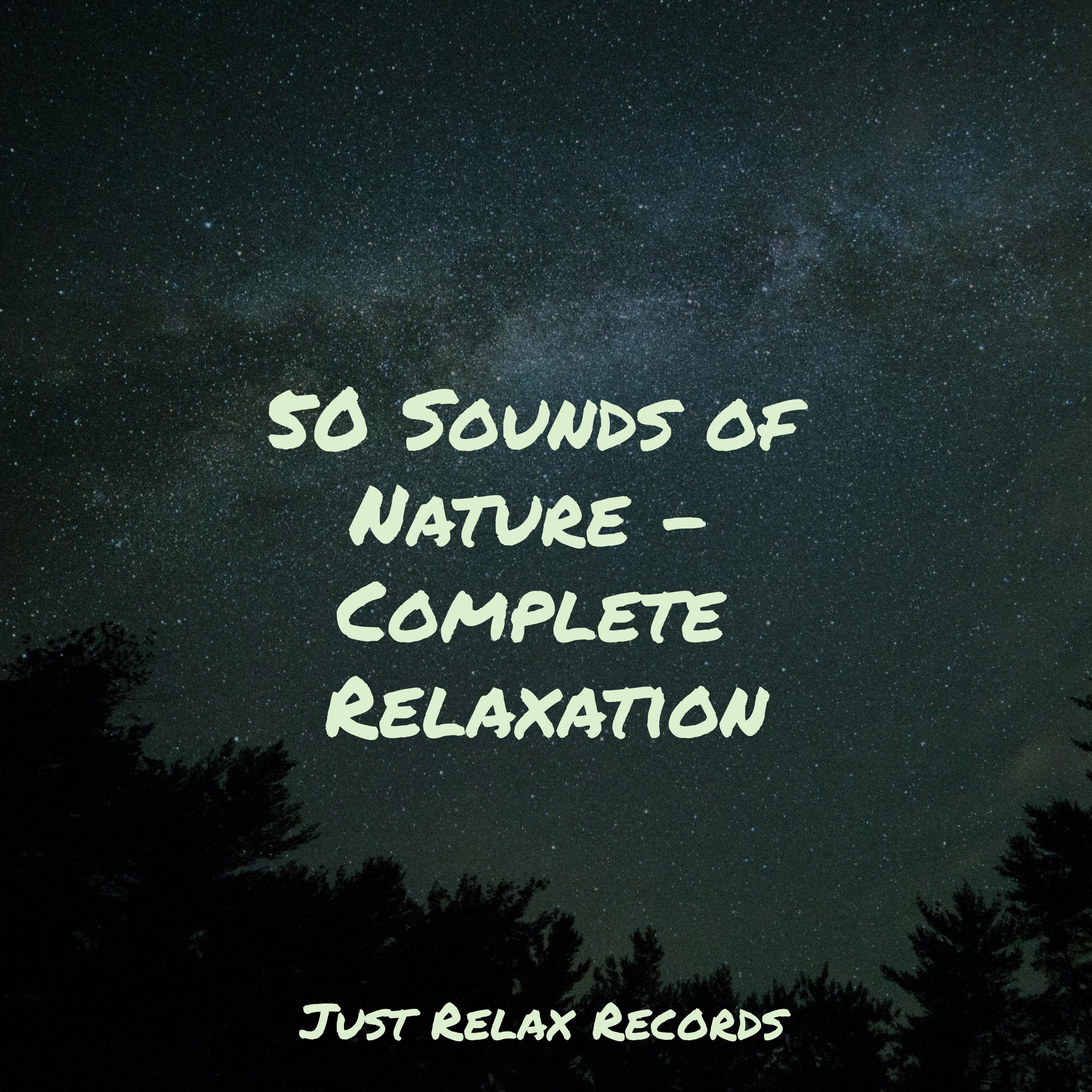 Harmony Haze Study Music & Sounds/Lucid Dreaming WorldCollective