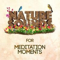 Nature Sounds for Meditation Moments