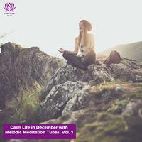 Calm Life in December with Melodic Meditation Tunes, Vol. 1